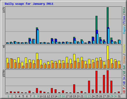 Daily usage for January 2011